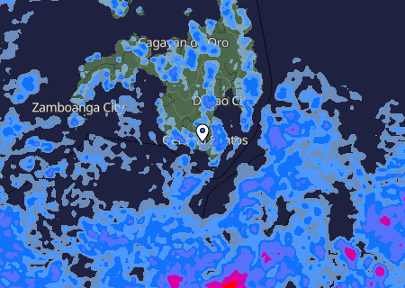 Niederschlagsprognose