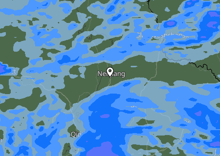 Niederschlagsprognose