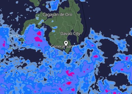 Niederschlagsprognose