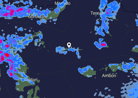 Niederschlagsprognose