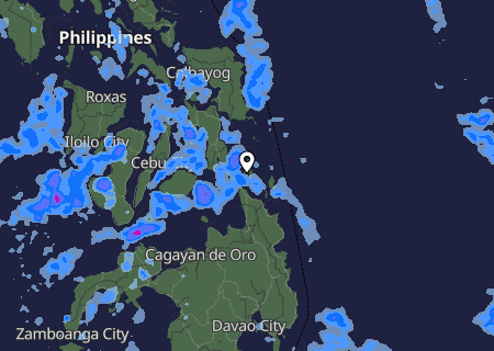 Niederschlagsprognose