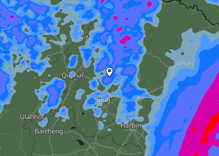 Niederschlagsprognose