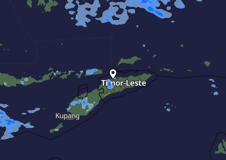 Niederschlagsprognose