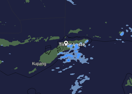 Niederschlagsprognose