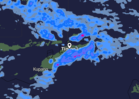 Niederschlagsprognose