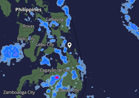 Niederschlagsprognose Niederschlagsprognose