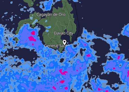 Niederschlagsprognose