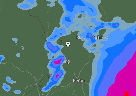Niederschlagsprognose