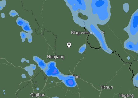 Niederschlagsprognose