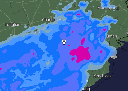 Niederschlagsprognose