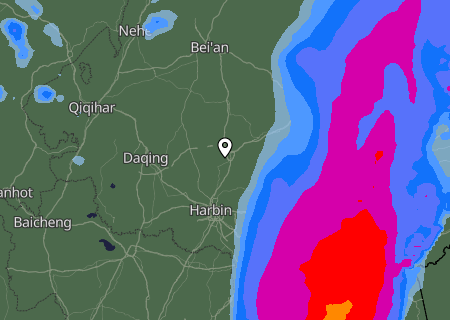 Niederschlagsprognose