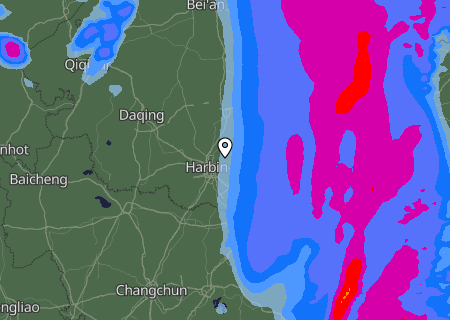 Niederschlagsprognose