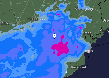 Niederschlagsprognose