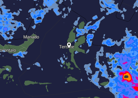 Niederschlagsprognose