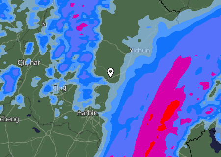 Niederschlagsprognose
