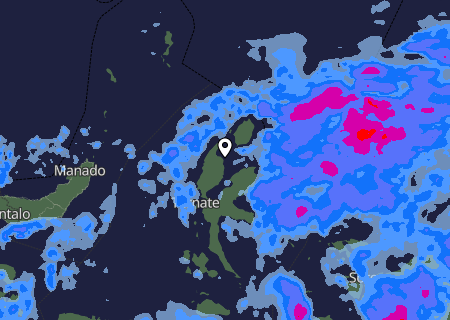 Niederschlagsprognose