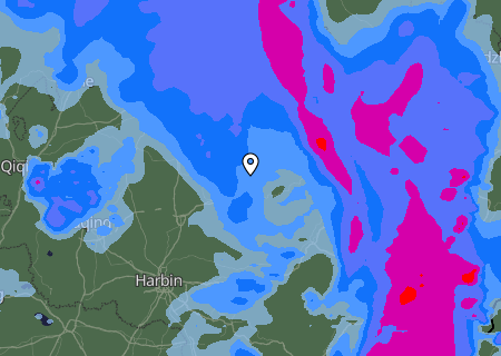 Niederschlagsprognose