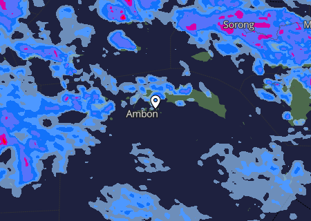 Niederschlagsprognose Niederschlagsprognose