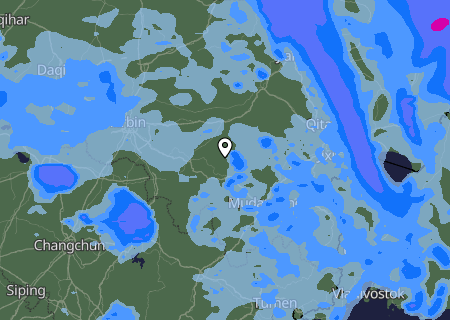 Niederschlagsprognose
