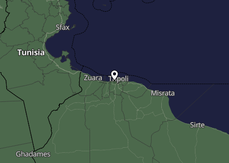 Niederschlagsprognose