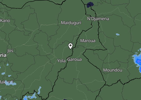 Niederschlagsprognose