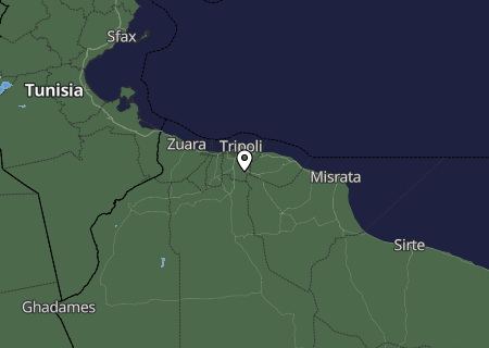 Niederschlagsprognose
