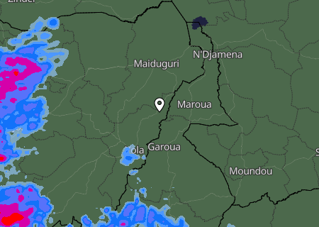 Niederschlagsprognose