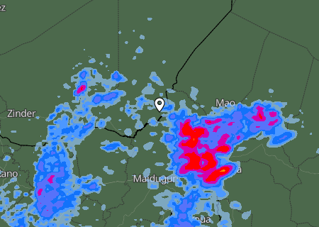 Niederschlagsprognose