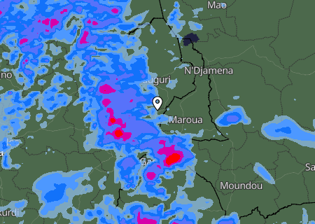 Niederschlagsprognose