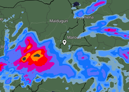 Niederschlagsprognose