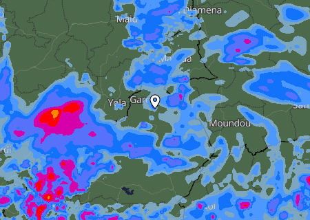 Niederschlagsprognose