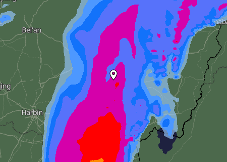 Niederschlagsprognose