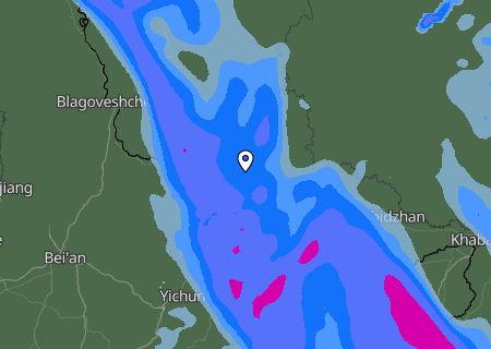 Niederschlagsprognose