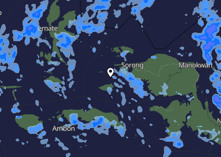 Niederschlagsprognose