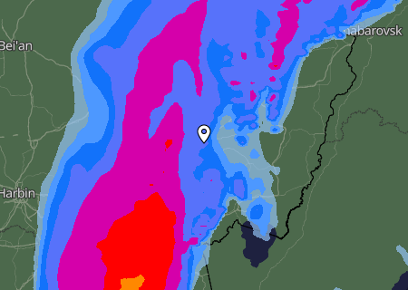 Niederschlagsprognose
