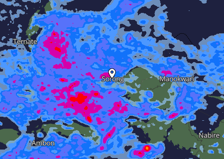 Niederschlagsprognose Niederschlagsprognose