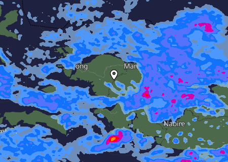 Niederschlagsprognose
