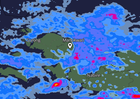 Niederschlagsprognose Niederschlagsprognose