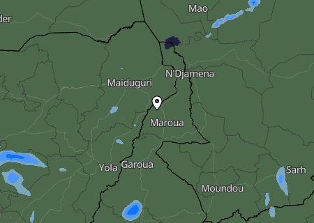 Niederschlagsprognose