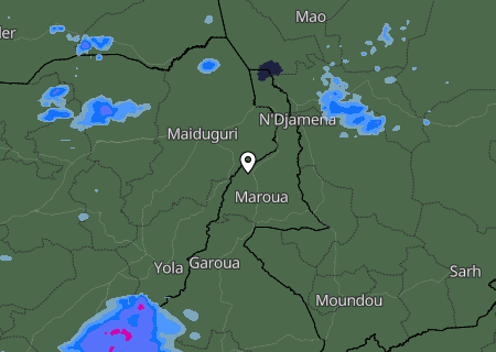 Niederschlagsprognose