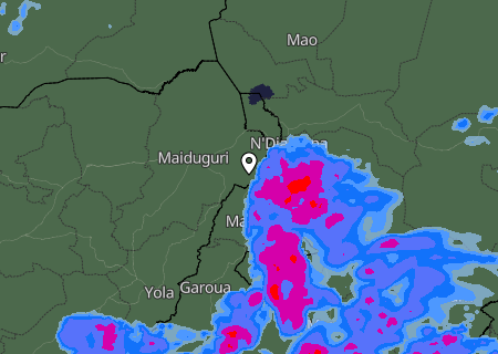 Niederschlagsprognose