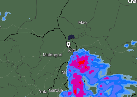 Niederschlagsprognose