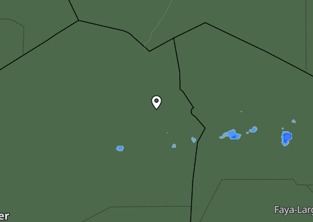 Niederschlagsprognose