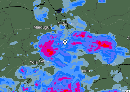 Niederschlagsprognose