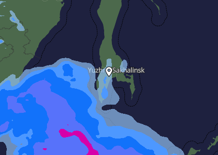 Niederschlagsprognose