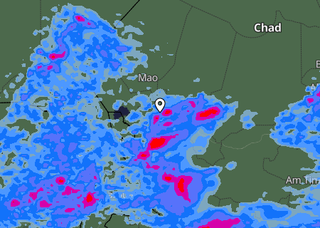Niederschlagsprognose