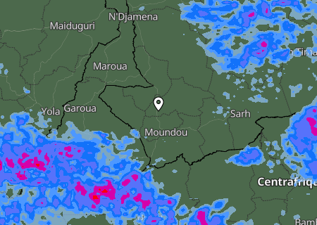 Niederschlagsprognose