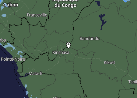 Niederschlagsprognose