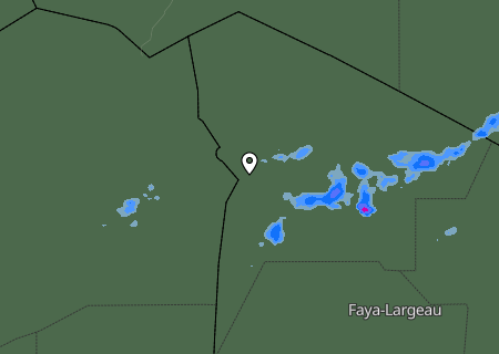 Niederschlagsprognose