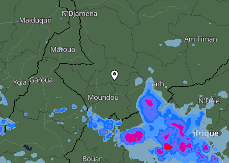 Niederschlagsprognose